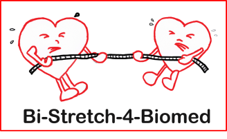 logo bi-stretch logo bi-stretch