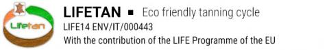 logo LIFETAN logo LIFETAN