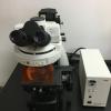 Microscopio epifluorescenza
