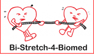 logo bi-stretch logo bi-stretch
