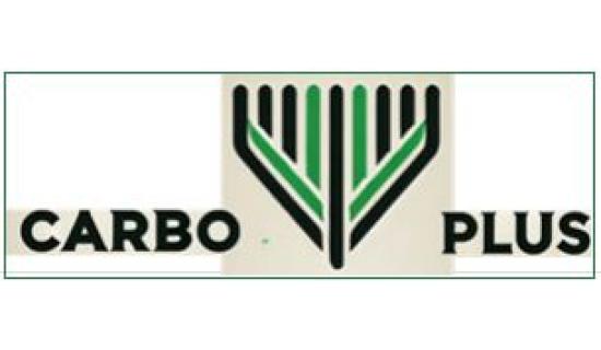 Logo Progetto Carbo Plus