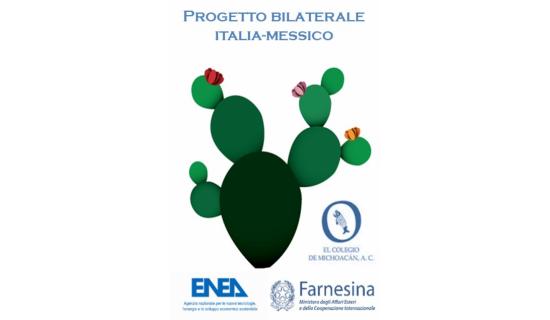 Logo progetto Nopal