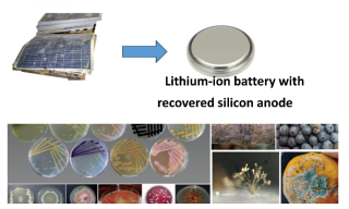 ENEA Microbial Culture Collection (EMCC) e PV Waste