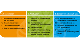 Submissions related to research, policy or practice are invited under the following pillars and sub-themes