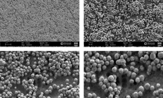 Immagini a diverso ingrandimento, catturate al microscopio elettronico a scansione (FE_SEM), relative alla superficie di monoliti di silice contenenti nanoparticelle di argento da circa 100 nm di diametro